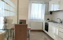 Apartament superb de 2 camere, 60 mp, la 10 minute de UMF