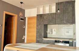 2 camere, 49mp, A.C., masina de spalat vase, balcon, parcare subterana,  Complex Viva City