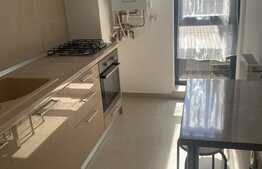 Apartament 2 camere langa Aula Universitatii