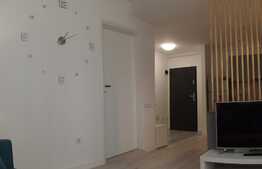 Apartament 2 camere, 40 mp, la cheie, zona Fanete.
