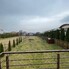 Casa de închiriat 4 camere Gheorgheni - 66963CI - Poza 1 din 16 | BLITZ Cluj-Napoca | Poza14