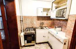 Apartament de 1 camera, 32 mp, mobilat si utilat, zona Calea Floresti