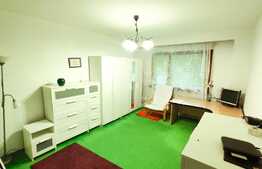 Apartament de 1 camera, 32 mp, mobilat si utilat, zona Calea Floresti