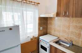 Garsoniera cocheta, mobilata si utilata, 24mp + balcon, zona Dedeman