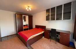 Apartament de 2 camere, 50mp, parcare, ac, pet-friendly, zona Lidl