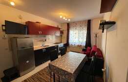 Apartament de 2 camere, 50mp, parcare, ac, pet-friendly, zona Lidl