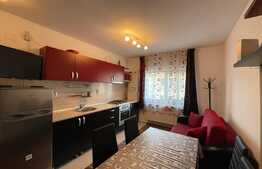 Apartament de 2 camere, 50mp, parcare, ac, pet-friendly, zona Lidl