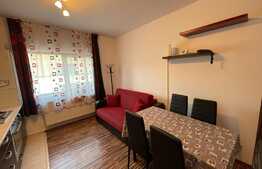 Apartament de 2 camere, 50mp, parcare, ac, pet-friendly, zona Lidl