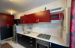 Apartament de 2 camere, 50mp, parcare, ac, pet-friendly, zona Lidl