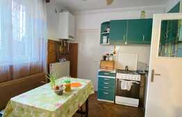 Casa de inchiriat, 70 mp, gradina, parcare, zona strazii Gruia
