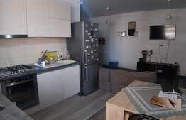 Apartament cochet de 3 camere si gradina 30 mp, loc de parcare, zona VIVO! 