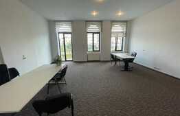 Business sau locuinta? Apartament 2 camere, 90 mp, etajul 1, zona centrala