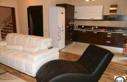 Vanzare 3 camere, zona Eftimie Murgu, 115 mp utili, imobil tip vila