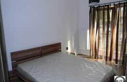 Vanzare 3 camere, zona Eftimie Murgu, 115 mp utili, imobil tip vila