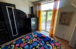 Apartament 1 camera, 29 mp, balcon frantuzesc, zona strazii Oasului