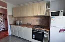 Apartament 2 camere, prima inchiriere, parcare, petfriendly, Marasti