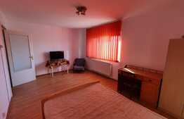 Apartament 2 camere, prima inchiriere, parcare, petfriendly, Marasti