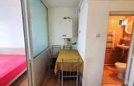 Garsoniera inteligent compartimentata, 21 mp, in zona Bulgaria