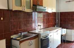 Apartament 2 camere decomandate, 55 mp, terasa, zona Piata Marasti 