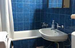 Apartament 2 camere decomandate, 55 mp, terasa, zona Piata Marasti 