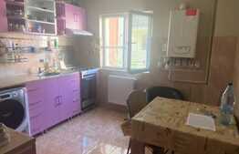 Apartament 1 camera, decomandat, mobilat si utilat, zona centrala!