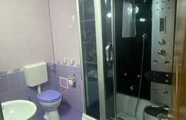 Apartament 1 camera, decomandat, mobilat si utilat, zona centrala!