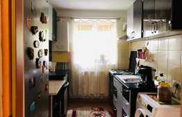 Apartament 3 camere, zona deosebita si plina de verdeata, Gheorgheni 
