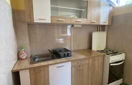 Apartament de 1 cameră, 32 mp, zona Grigorescu