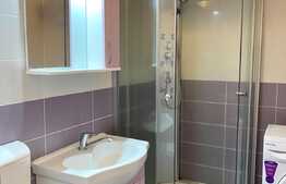 Apartament  2 camere decomandate, 60 mp, zona Marasti