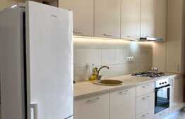 Apartament  2 camere open space, parcare subterana,50 mp, zona centrala