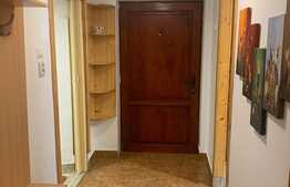 Garsoniera, 30 mp, zona maternitate, Centru Vechi