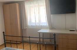 Garsoniera, 30 mp, zona maternitate, Centru Vechi