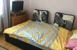 Apartament 2 camere, decomandat, 45 mp, balcon, zona Manastur