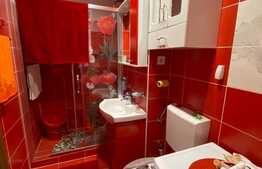 Apartament de 2 camere, decomandat, 50mp, Sacele 