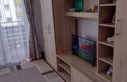 Apartament de 2 camere, prima inchiriere, zona Avantgarden3