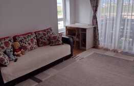 Apartament de 2 camere, prima inchiriere, zona Avantgarden3