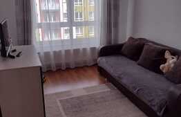 Apartament de 2 camere, prima inchiriere, zona Avantgarden3