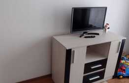 Apartament de 2 camere, prima inchiriere, zona Avantgarden3
