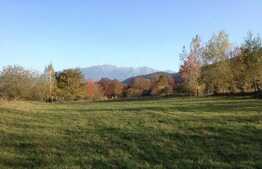 Teren intravilan, 5400 mp, zona Bran, liziera padurii