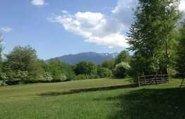 Teren intravilan, 5400 mp, zona Bran, liziera padurii