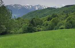 Teren intravilan, 5400 mp, zona Bran, liziera padurii