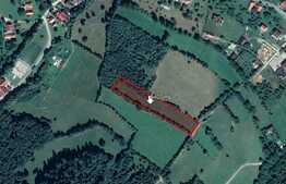 Teren intravilan, 5400 mp, zona Bran, liziera padurii