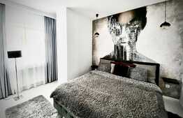 Apartament de lux, 3 camere, jacuzzi, 70 mp, gradina 100mp, Buna Ziua