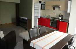 Apartament cu 2 camere in zona Tauti, mobilat si utilat