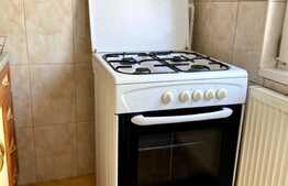 Garsoniera decomandata, 30 mp, zona Manastur, pet friendly