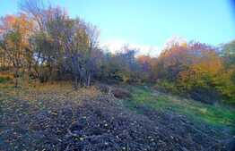 Teren intravilan  778mp ,cu panorama deosebita, zona Feleacu