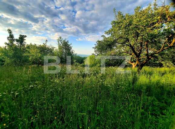 Teren de vânzare Feleacu - 67167TV | BLITZ Cluj-Napoca | Poza1