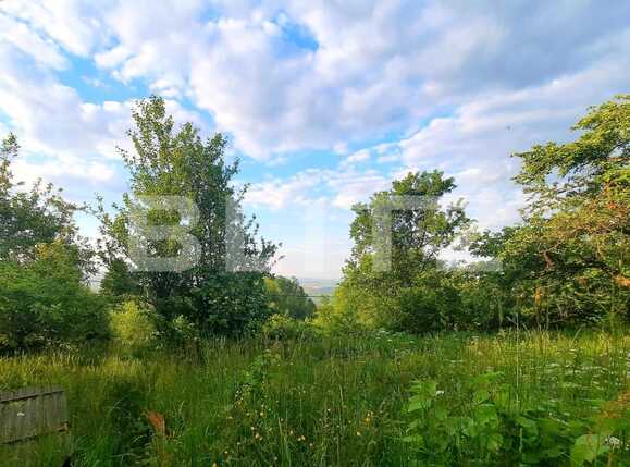 Teren de vânzare Feleacu - 67167TV | BLITZ Cluj-Napoca | Poza7