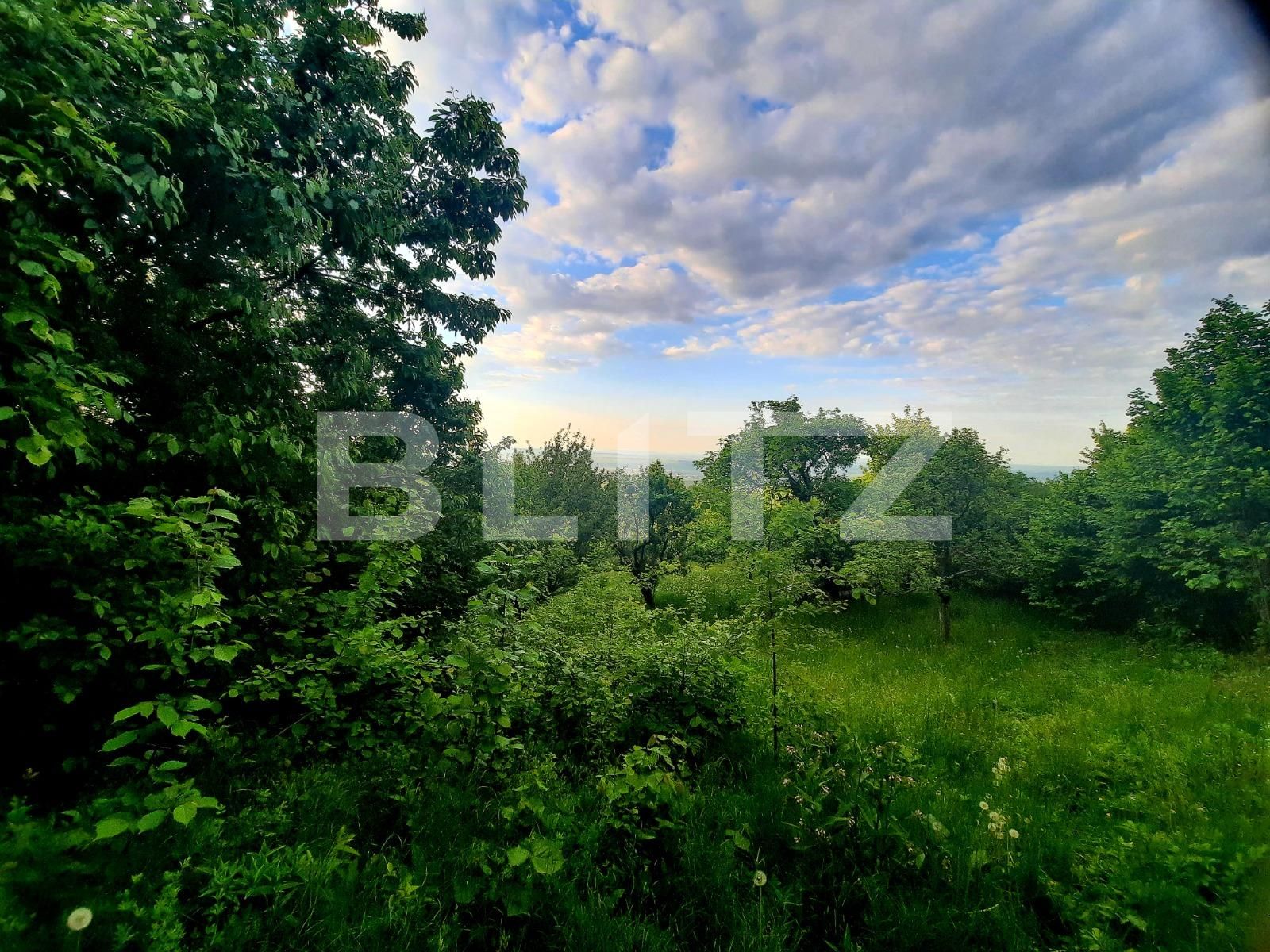 Teren de vânzare Feleacu - 67167TV | BLITZ Cluj-Napoca | Poza9