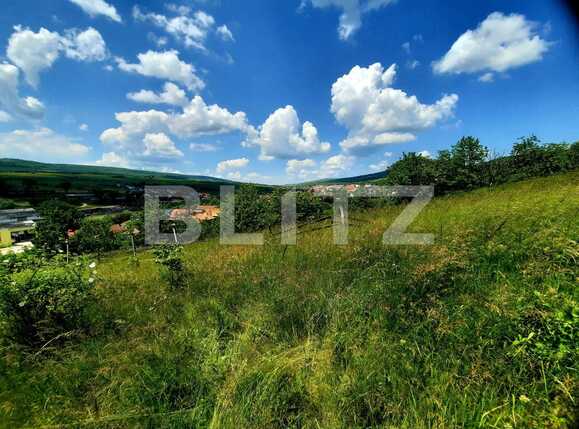 Teren de vânzare Iris - 67170TV | BLITZ Cluj-Napoca | Poza4